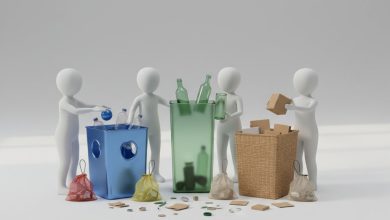 Екологічні ініціативи міста: як сортування сміття стає доступним кожному