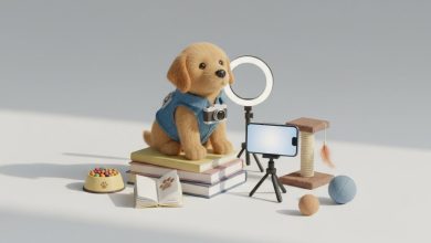 Феномен тварин-блогерів: чому ми так любимо спостерігати за життям улюбленців