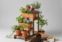 Озеленення балкона: покрокова інструкція створення міні-саду в квартирі