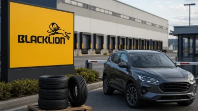 BlackLion